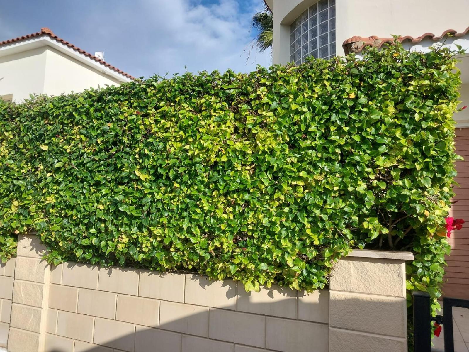 Budget Escape To The Seaside Larnaca Exterior foto