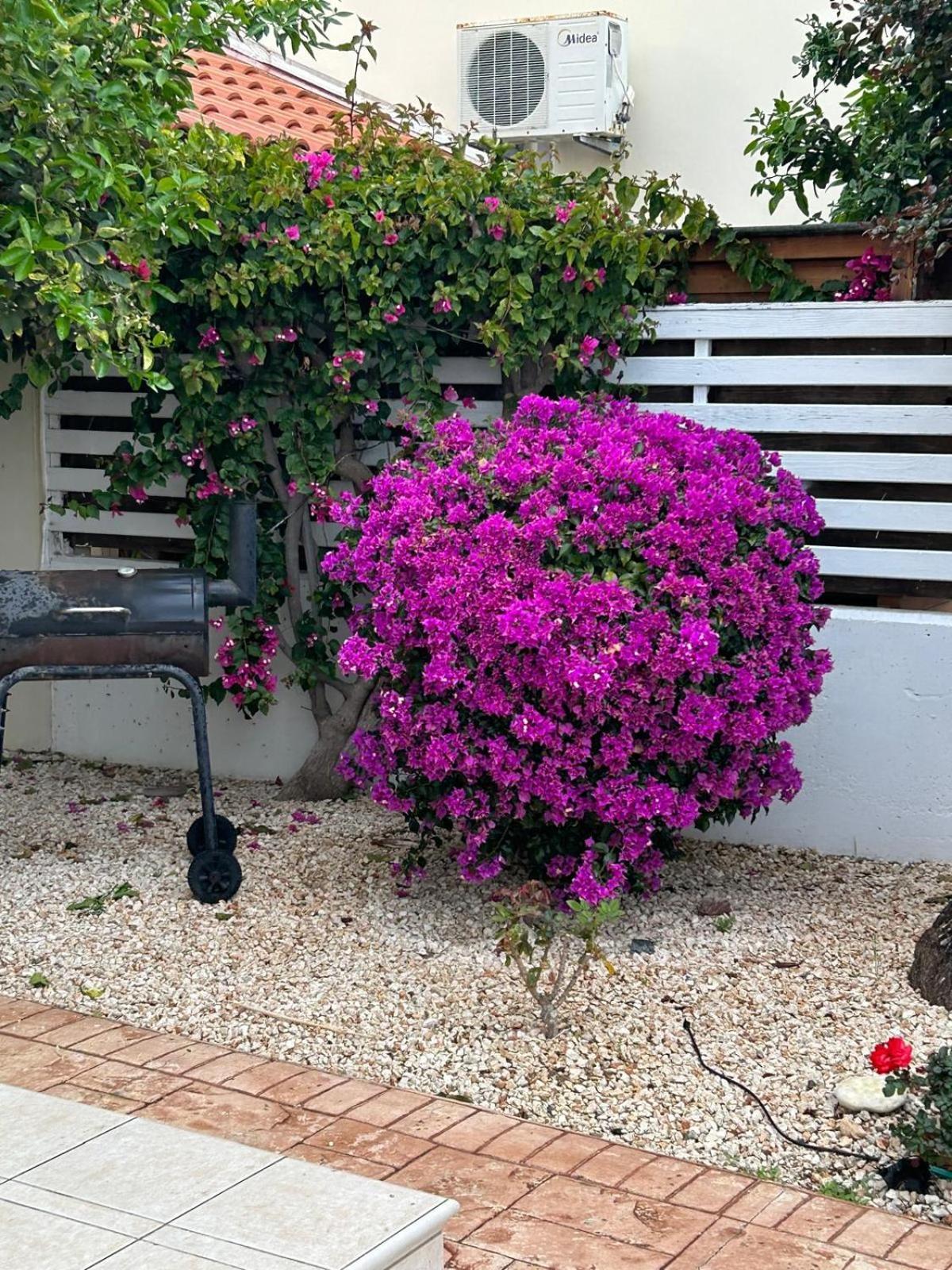 Budget Escape To The Seaside Larnaca Exterior foto